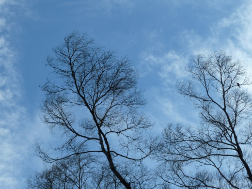 68804 (a): :1600x1200